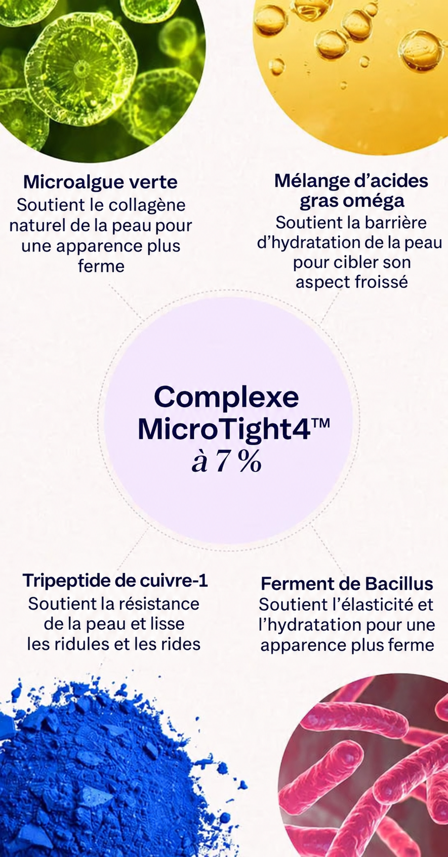 Infographie colorée présentant le complexe ProTight Complex™ à 7% et ses quatre ingrédients clés. Chaque ingrédient est illustré par une image : les microalgues vertes (qui soutiennent le collagène pour les vergetures), le mélange d’acides gras oméga (qui renforce la barrière d’hydratation), le Copper Tripeptide-1 (qui favorise le collagène naturel pour lisser la peau) et le Bacillus Ferment (qui améliore l’élasticité et l’hydratation). Au centre figure le nom du produit, dans une typographie élégante sur fond clair.